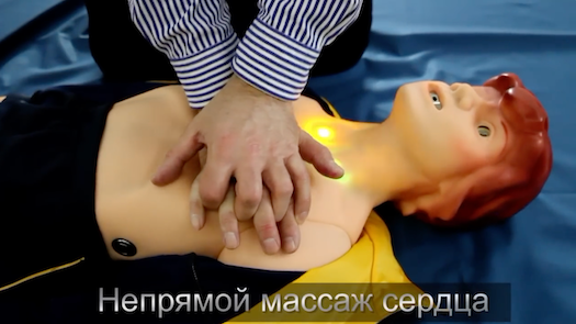 Робот-тренажер «Гоша-06» (расширенная комплектация с ПО) 